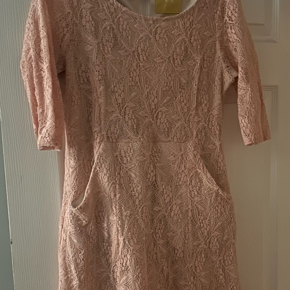 Anthropologie Lace A-Line Dress in Blush